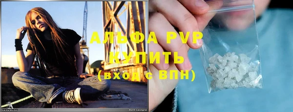 гидра Волоколамск