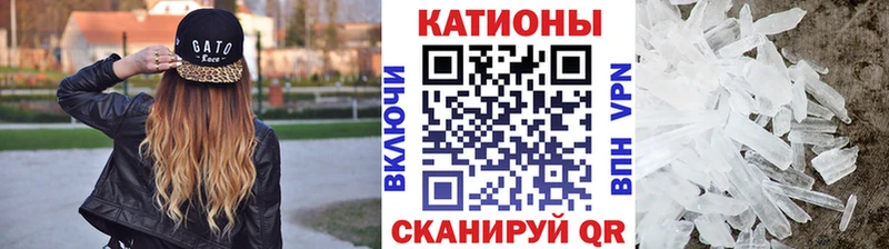 OMG tor  Рыбинск  МЯУ-МЯУ мяу мяу 